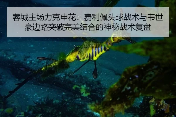 rong-cheng-zhu-chang-li-ke-shen-hua-fei-li-pei-tou-qiu-zhan-shu-yu-wei-shi-hao-bian-lu-tu-po-wan-mei-jie-he-de-shen-mi-2-969.jpg
